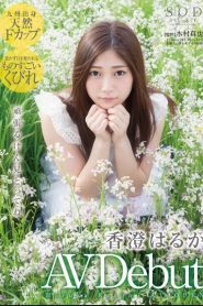 [AVOP-126] Haruka Kasumi ครั้งแรกมันแสบทรวง