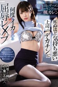 [IPX-534] Karen Kaede จิตหลุดโลกโขยกสุดด้าม