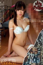 [MIAE-309] Akari Mitani เพื่อนกันก็มันส์ได้